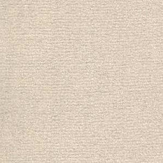 Ковролин Radici Nexus Ghiaccio 8217 фото 1 | FLOORDEALER